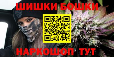 индика Чебаркуль